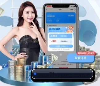 世界杯下注 APP